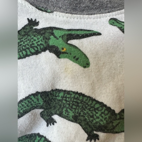 Baby Crocodile Pajama Set - Gray and Green - Picture 5 of 5